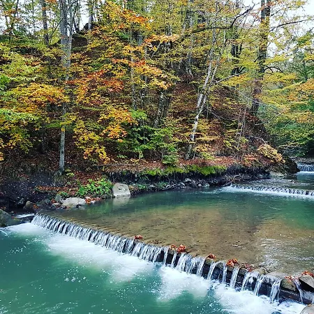 Гостевой дом Zelena