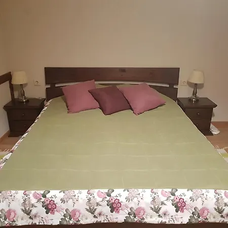 Zelena 4* Turichki