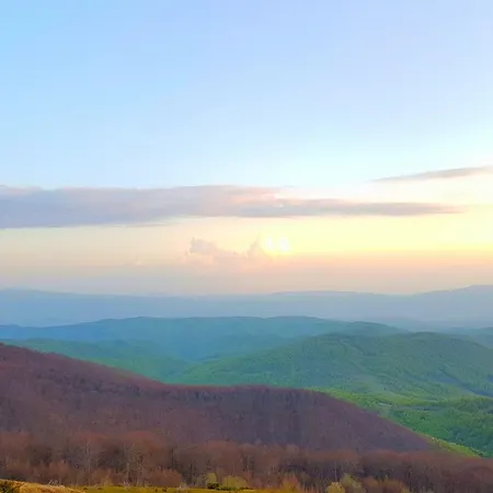 Гостевой дом Zelena