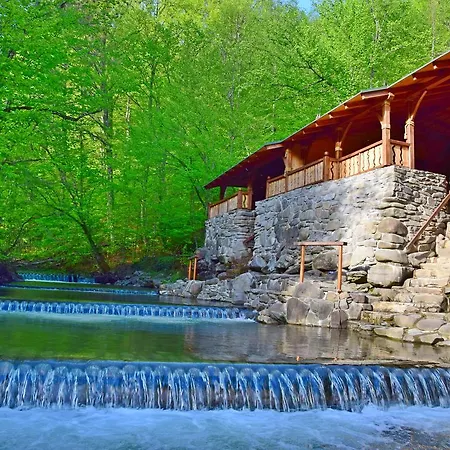 Гостевой дом Zelena 4*