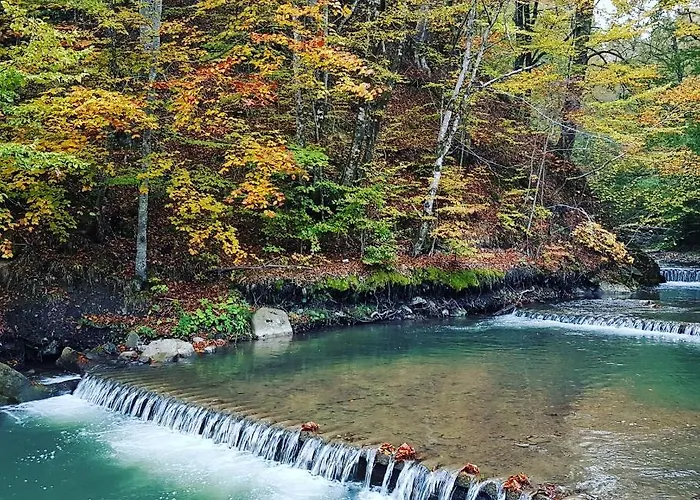 Penzion Zelena